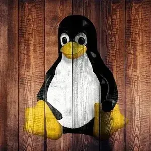 Diego* (diaspora social)